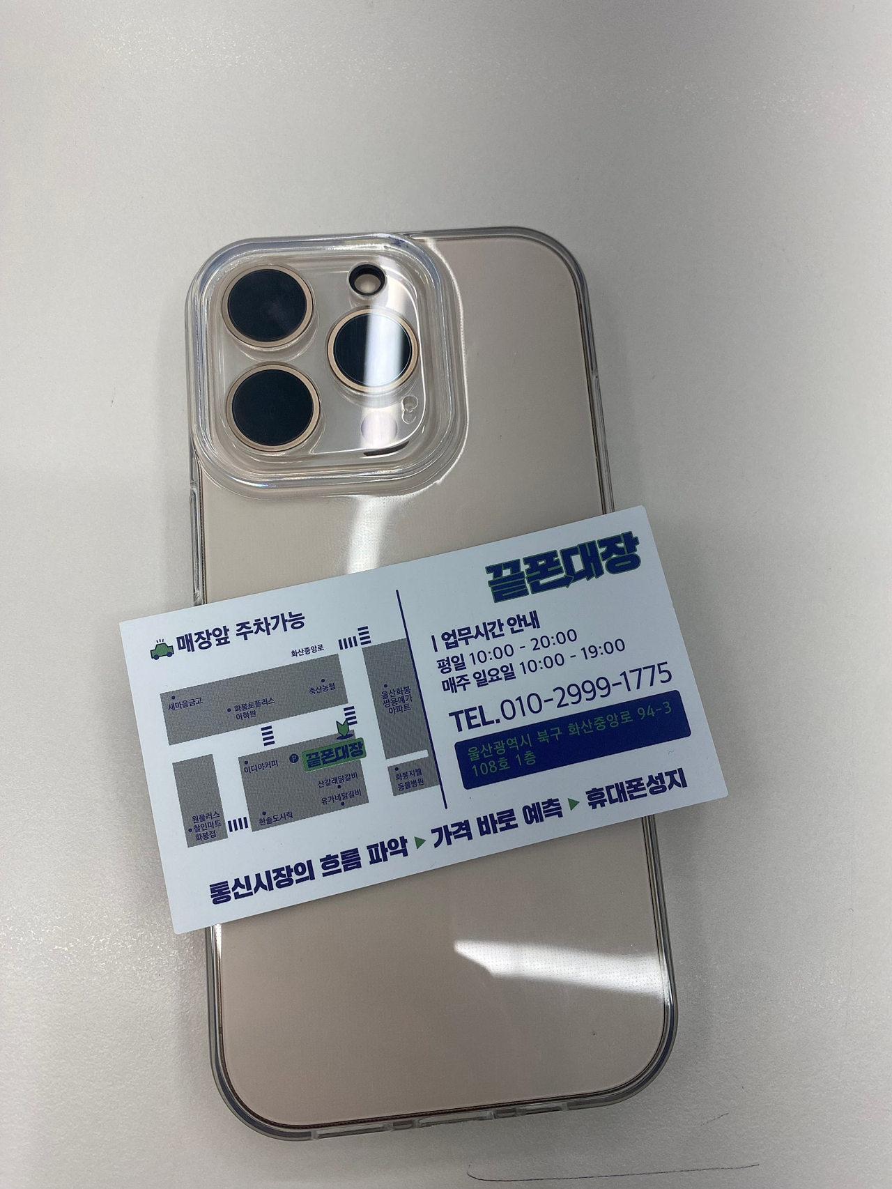 성지후기