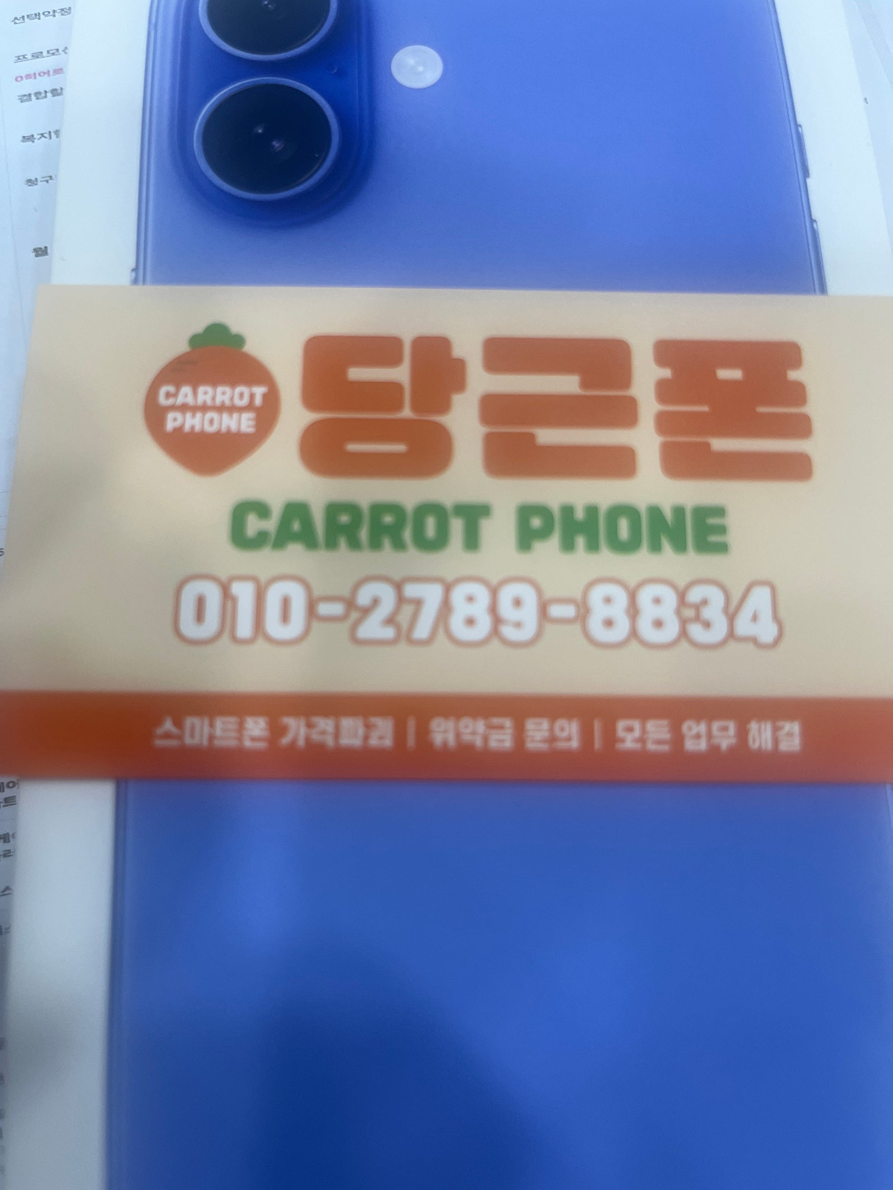 성지후기