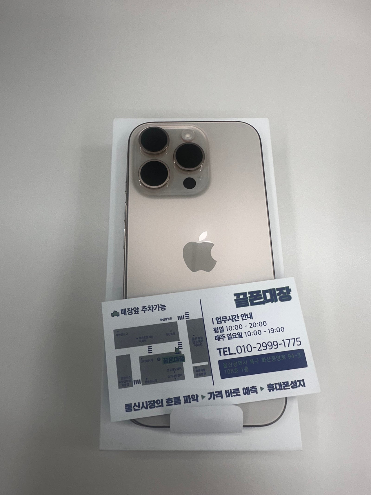 성지후기