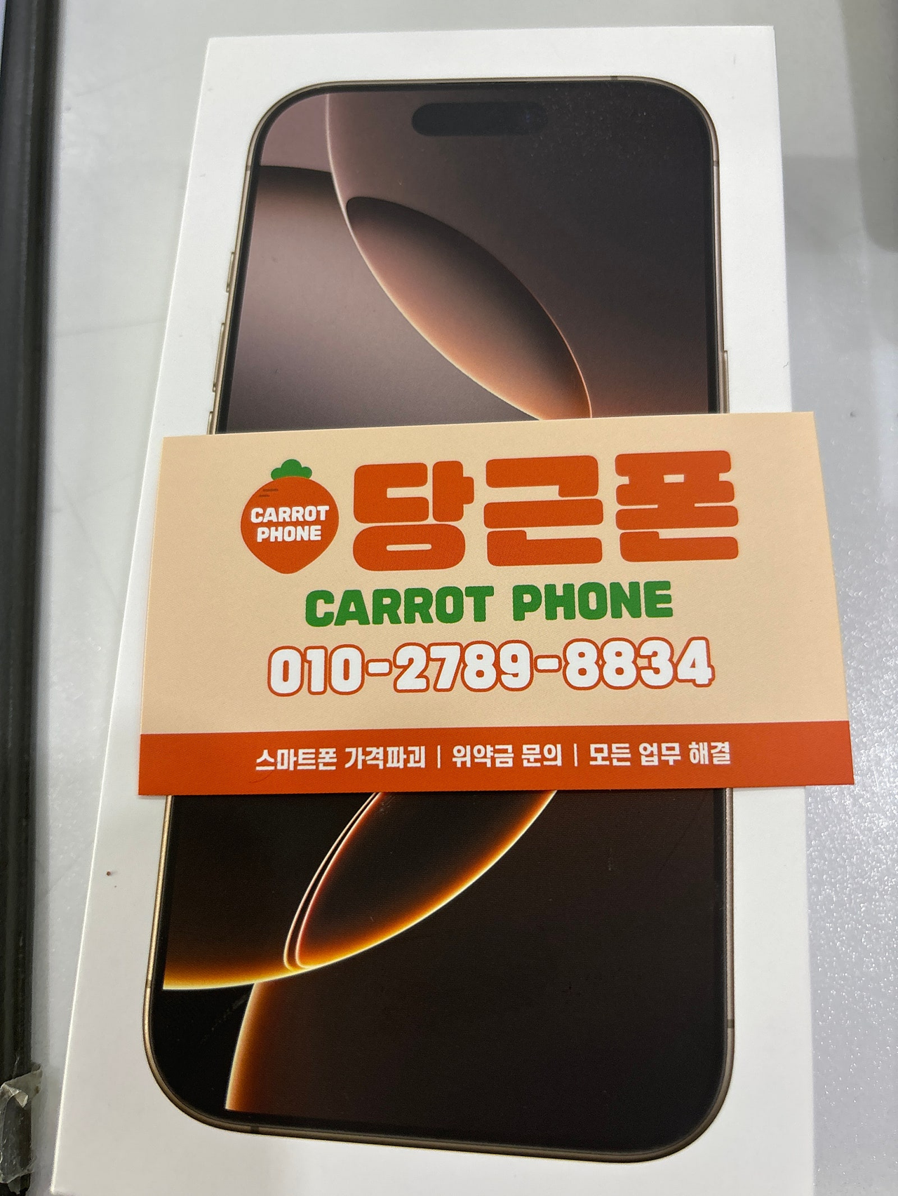 성지후기