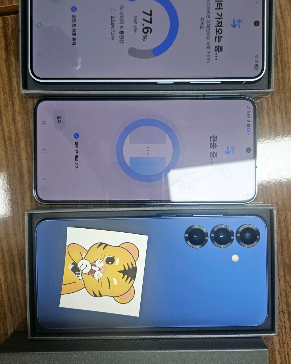 성동구호랑이 범 방문예약 기