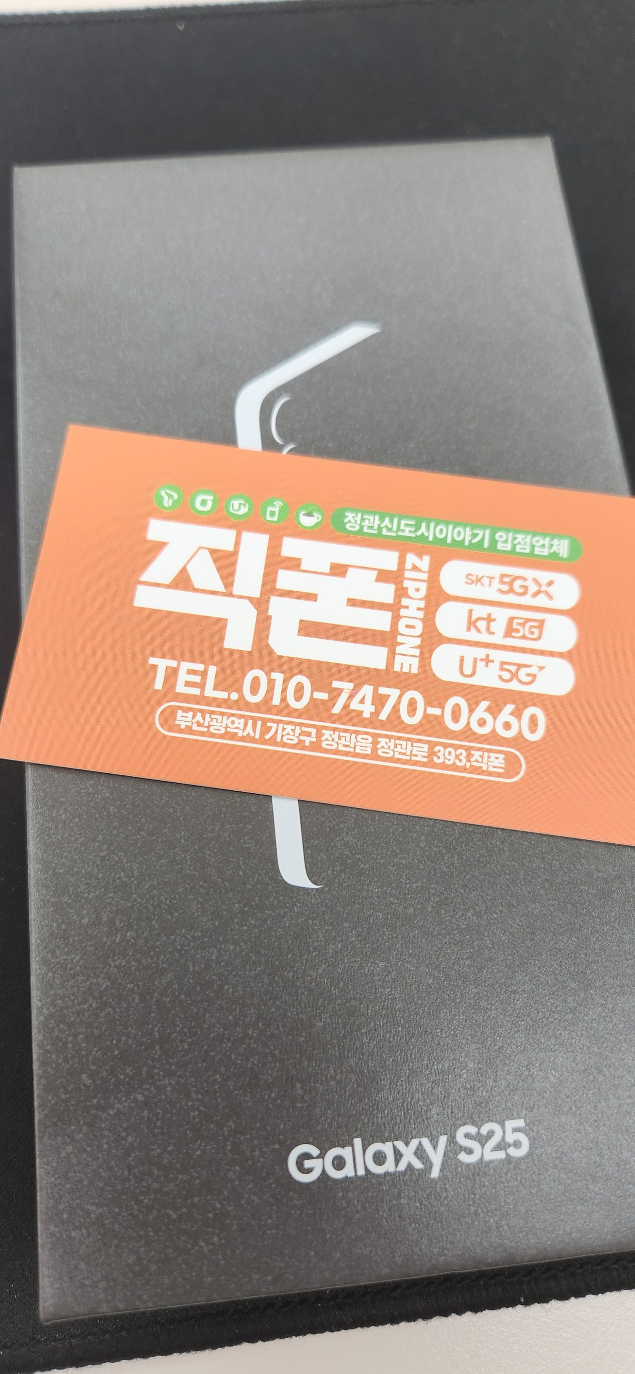 정관 직폰 코끼리 대박사건