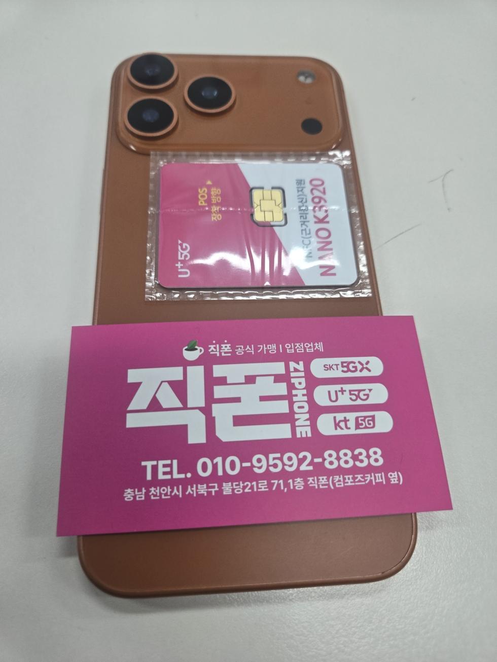 불당직폰